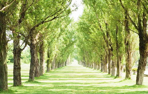 あしたへつながる「うるおい」と「やすらぎ」を